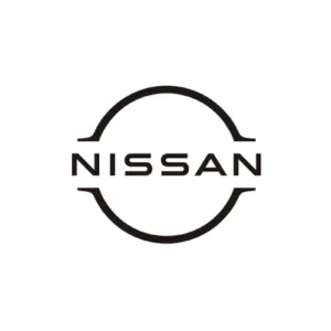 Nissan Sandık Motor